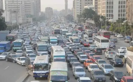 تحذير مهم من الأرصاد: انخفاض مستوى الرؤية بسبب الشبورة غدا