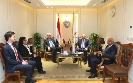 مصر تمهد الطريق لتصبح محوراً إقليمياً لصناعة السيارات وزير الصناعة والنقل يؤكد الجاهزية التامة