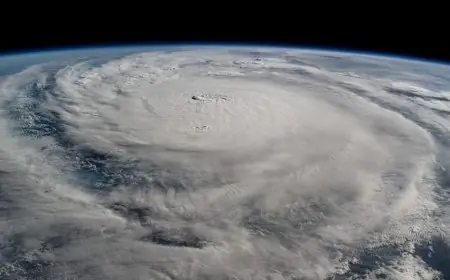 الأرصاد تصدر بيانًا عاجلًا: تجنبوا القيادة غدًا على الطرق السريعة والسبب يكشف الآن