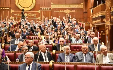 غدا مجلس الشيوخ يعقد 3 جلسات هامة لانتخاب هيئات مكاتب اللجان النوعية