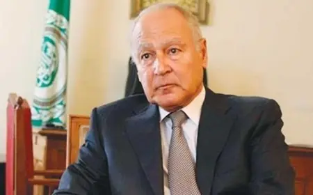 أبو الغيط يؤكد تعرض الأمن والاستقرار في غزة لهزة كبيرة