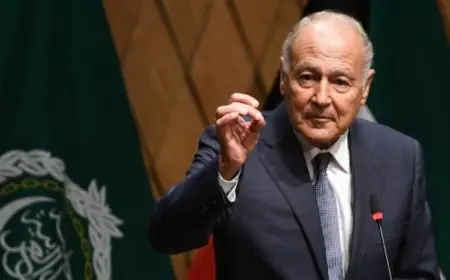 أبو الغيط يؤكد إمكانية تحقيق تعاون كبير بين العرب وإسرائيل بشرط الاعتراف بالدولة الفلسطينية