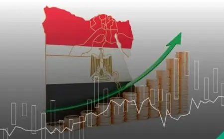 فوائد التوسع في الشمول المالي وتأثيره الإيجابي على المواطنين والاقتصاد في مصر