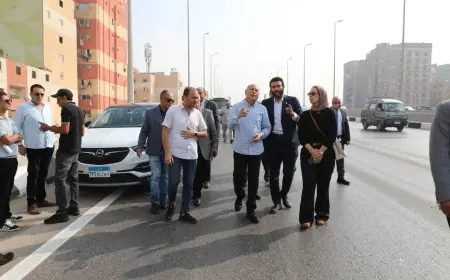 محافظ القاهرة يراقب اللمسات الأخيرة لمشروع تحسين الرؤية البصرية على الطريق الدائري