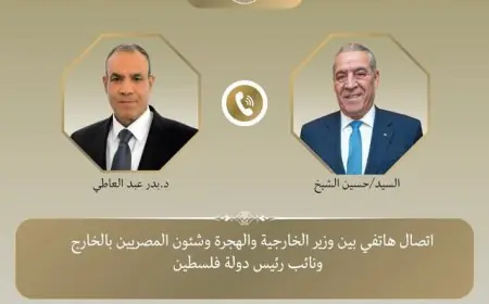 مصر تواصل دعم السلطة الفلسطينية وتعزز جهودها لتحقيق الوحدة الوطنية: تصريح وزير الخارجية