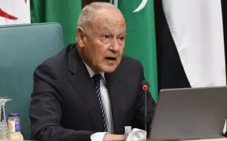 أسرار تعيين أبو الغيط وزيرًا للخارجية وماذا قال لزوجته أولاً