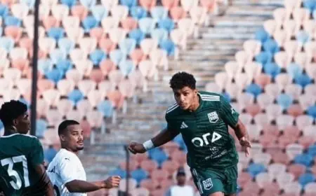 الأهلي يسعى لضم المدافع زد في الانتقالات الشتوية المقبلة