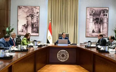 رئيس الوزراء يستعرض التعاون بين التنمية المحلية والمالية في متابعة الملفات المشتركة