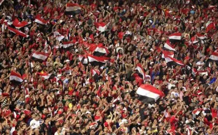 دليل شامل لجماهير مصر: كيفية الحصول على بطاقات المشجعين لكأس أمم أفريقيا