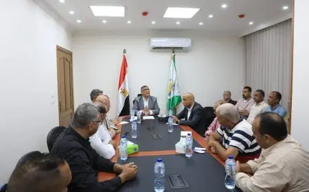 محافظ الجيزة يطالب بتكثيف جهود النظافة استعدادًا لافتتاح المتحف المصري الكبير