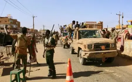 تحولت مدينة الفاشر السودانية إلى كارثة إنسانية ومحاصرة: الأسباب والتداعيات