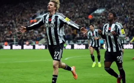 نيوكاسل يتألق بفوزه على توتنهام ويحجز مكانه في ربع نهائي كأس الرابطة