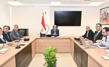 وزير الري يراقب تقدم مشروع رقمنة المساقي بالتعاون مع وزارة الزراعة لتعزيز الكفاءة المائية