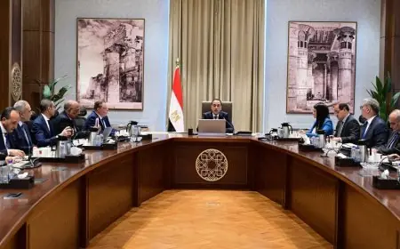 رئيس الوزراء مدبولي يكشف عن توجيهات رئاسية لتسريع دمج مشروعات الطاقة المتجددة في شبكة الكهرباء القومية