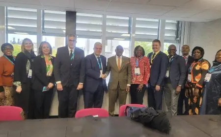 وزير التعليم العالي يناقش تعزيز التعاون مع نظرائه في نيجيريا وغانا لتطوير التعليم وتمكين الشباب