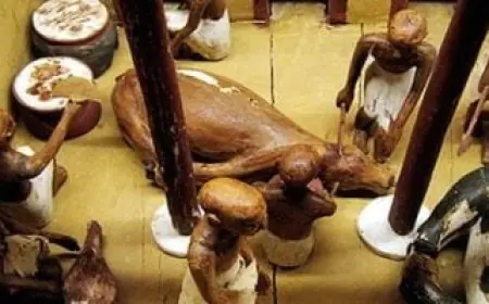 اكتشف مفاجآت عن عادات الطعام للمصريين قبل افتتاح المتحف المصري الكبير