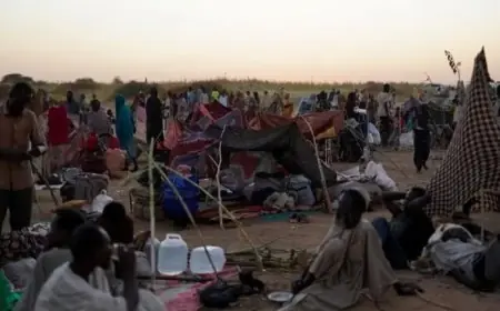 الأمم المتحدة تطالب بتأسيس هيئة قضائية مستقلة لمحاسبة مرتكبي الجرائم في السودان