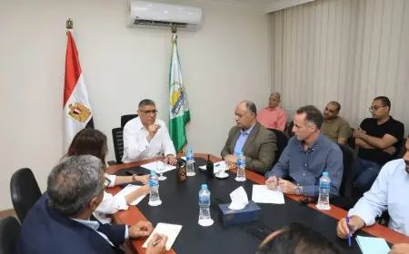 محافظ الجيزة يعلن الجاهزية الكاملة واستنفار تنفيذي شامل قبيل افتتاح المتحف المصري الكبير التاريخي بساعات