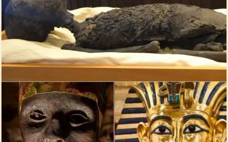 زاهي حواس يكشف لغز مقتل توت عنخ آمون