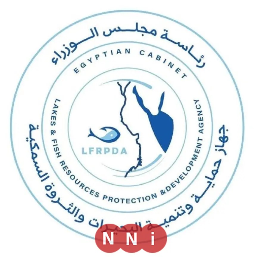 تنمية البحيرات في المنيا: إنزال 1.25 مليون زريعة بلطي نيلي بنهر النيل لتعزيز البيئة المائية