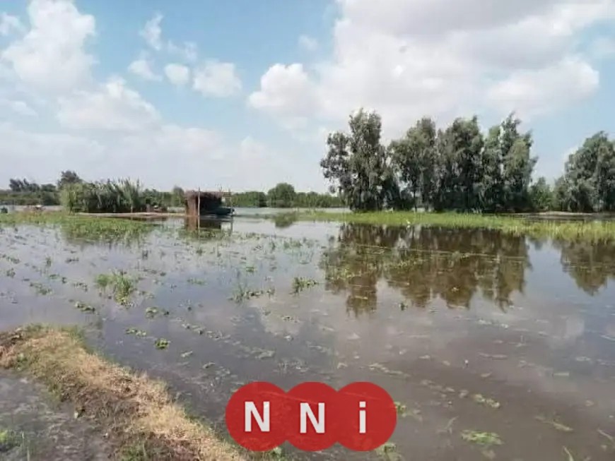 محافظ المنوفية يدعو لحصر الأراضي المتضررة من المياه وإعفائها من الإيجار السنوي