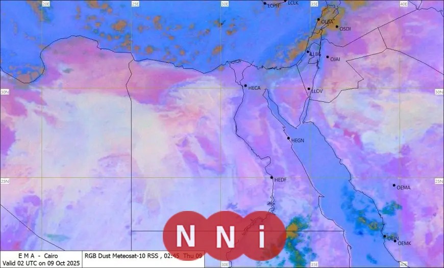 الأرصاد تتوقع استمرار هطول الأمطار مساء اليوم وتحذر السائقين من مخاطر الشبورة