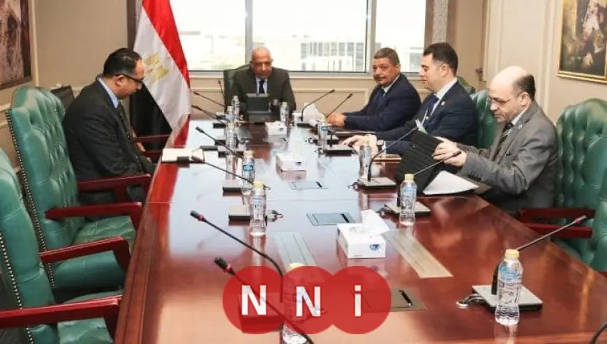 وزير الكهرباء يعزز التعاون بين الهيئات النووية لمضاعفة الفوائد وتوطين التكنولوجيا