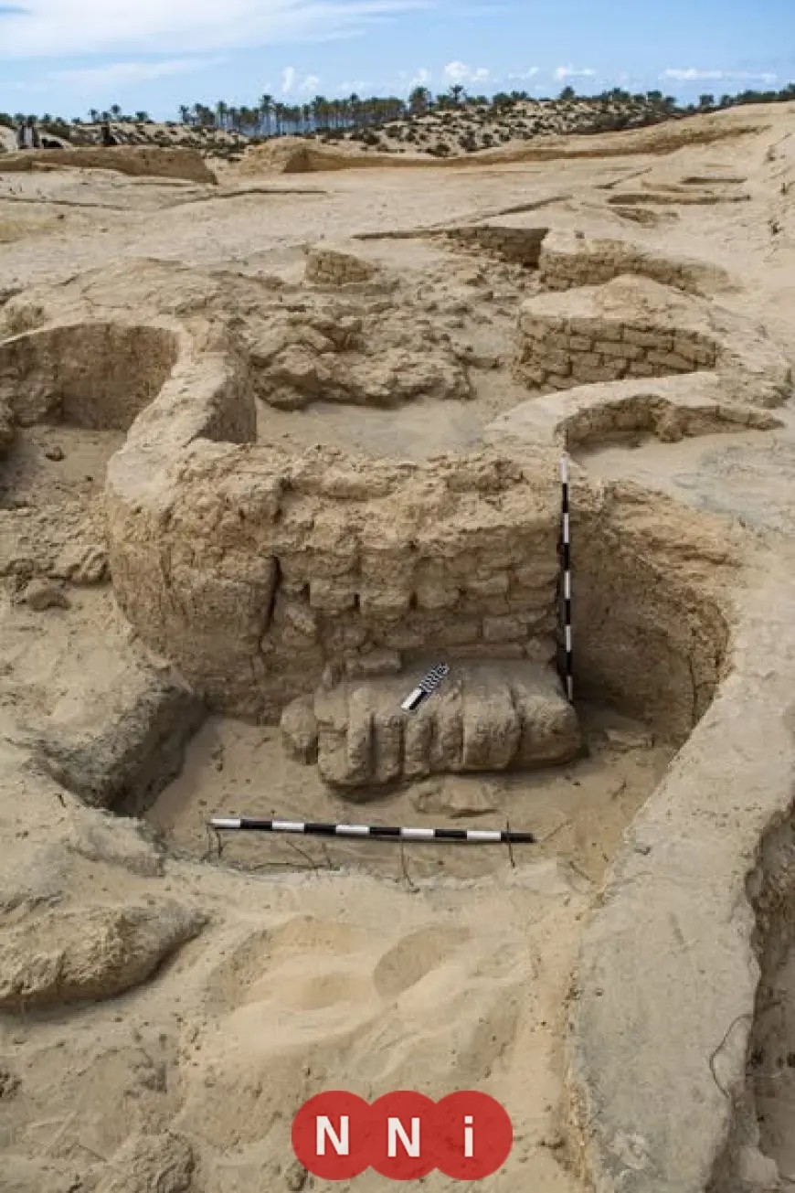 اكتشاف مذهل لقلعة عسكرية من عصر الدولة الحديثة على طريق حورس الحربي في سيناء