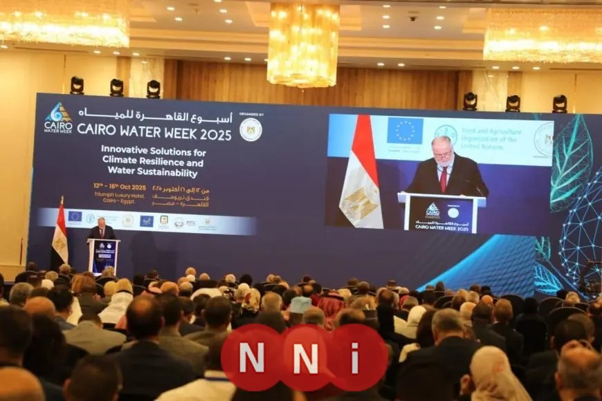 محافظ القاهرة يحضر افتتاح أسبوع القاهرة الثامن للمياه لجذب الانتباه قضايا المياه
