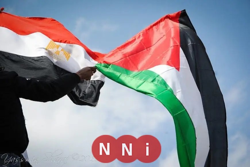 الشوا يبرز الدعم الجماعي للجهود المصرية لإنهاء الانقسام وتحقيق الوحدة