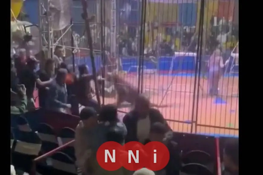 النمر مغلطش: أنوسة كوتة تفصح عن تفاصيل مثيرة حول حادث سيرك طنطا