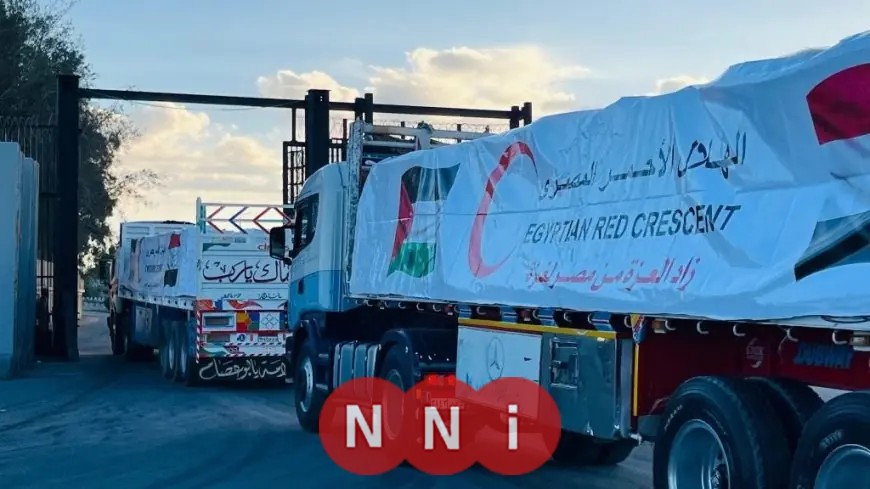 الهلال الأحمر المصري يرسل 400 شاحنة بأكثر من 9700 طن من المساعدات إلى غزة