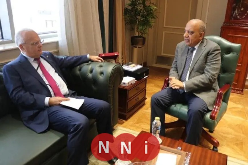 وزير الكهرباء يلتقي بسفير السويد في القاهرة لتعزيز التعاون في الطاقة المتجددة