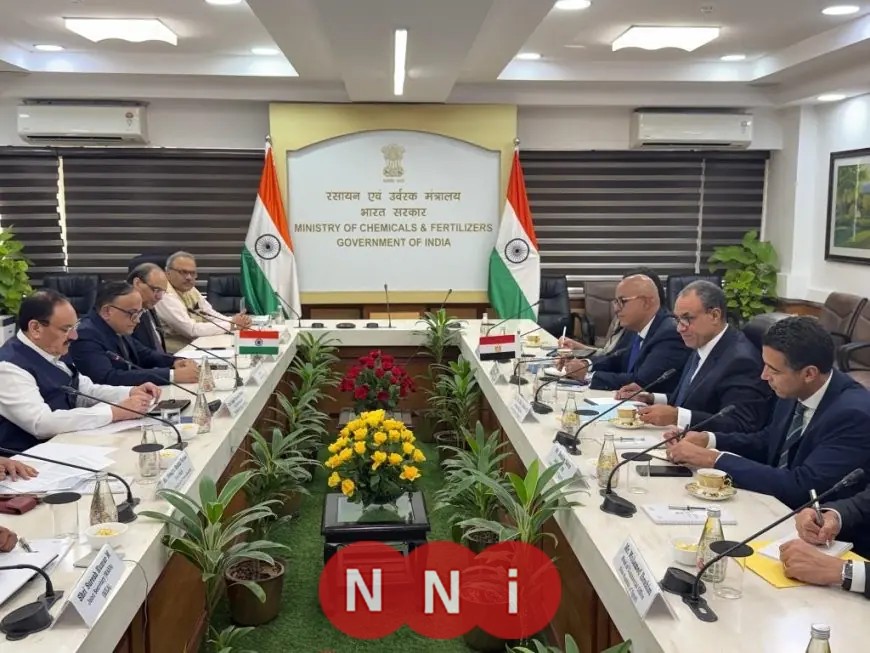 وزير الخارجية يعرض إنجازات اتفاقية الشراكة الاستراتيجية بين مصر والهند