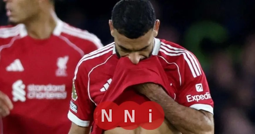متابعة موعد مباراة ليفربول ومانشستر يونايتد في الدوري الإنجليزي الممتاز