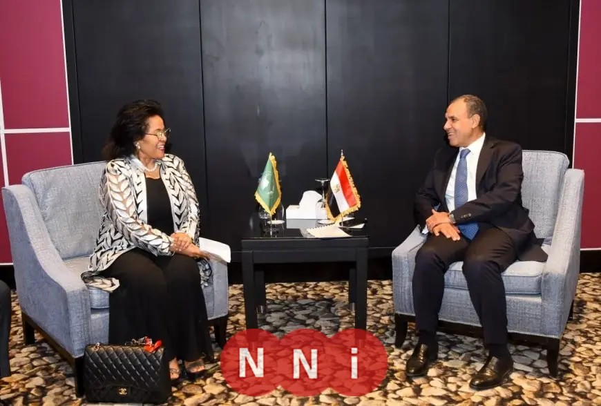 تحرك مصري مكثف بقيادة وزير الخارجية لتحقيق هدنة إنسانية في السودان