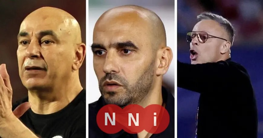 وهبي يتحدى الركراكي وحسام حسن للفوز بجائزة أفضل مدرب في إفريقيا