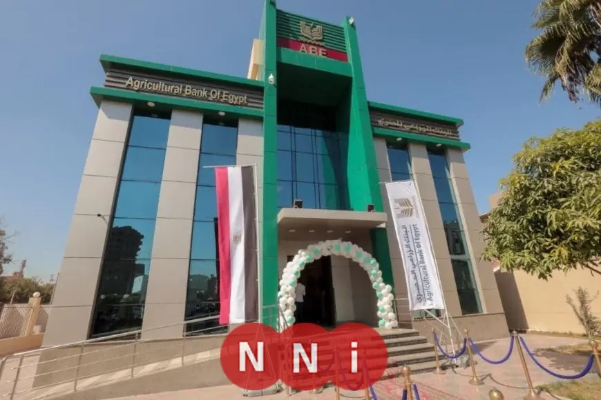 فرص عمل في البنك الزراعي 2025 تعرف على الشروط والمؤهلات المطلوبة