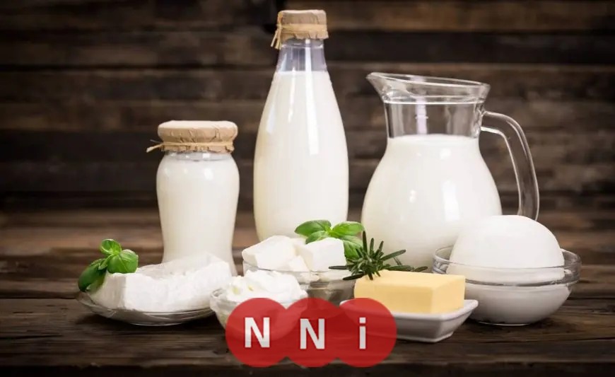 تعرف على أسباب ارتفاع أسعار الألبان في الشتاء كما توضحه شعبة المواد الغذائية