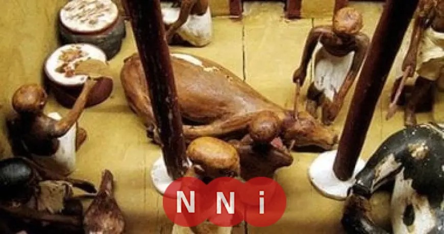 اكتشف مفاجآت عن عادات الطعام للمصريين قبل افتتاح المتحف المصري الكبير