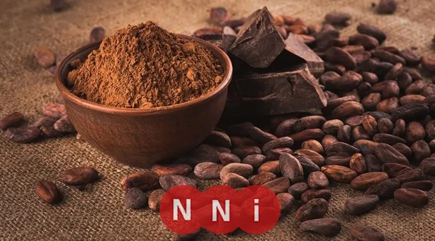 ارتفاع أسعار الكاكاو عالميًا بنسبة 5٪ مع تزايد المخاوف حول المحاصيل