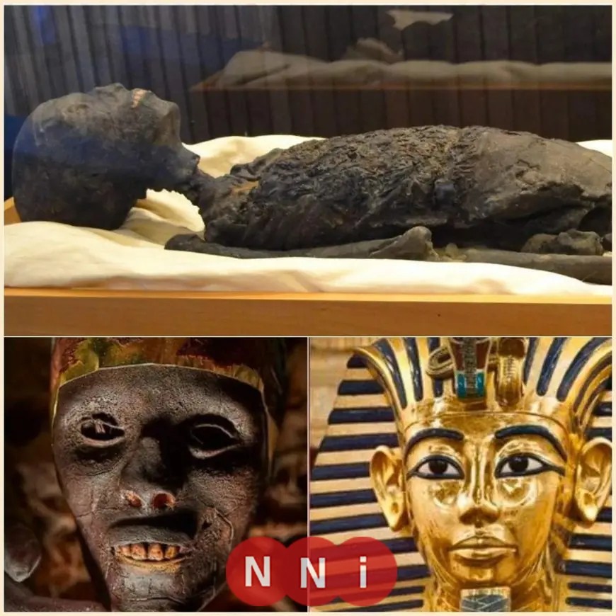 زاهي حواس يكشف لغز مقتل توت عنخ آمون