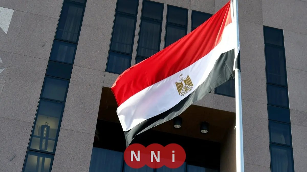 رد علي الدين هلال على مطالبات حذف كلمة العربية من تعريف مصر