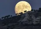 اكتشف موعد ظهور ظاهرة القمر العملاق المدهشة في سماء مصر ومتابعتها