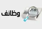اكتشف 185 فرصة عمل جديدة في محافظة السويس من وزارة العمل