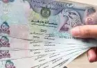تعرف على سعر صرف الدرهم الإماراتي مقابل الجنيه المصري اليوم الأحد 30 نوفمبر 2025
