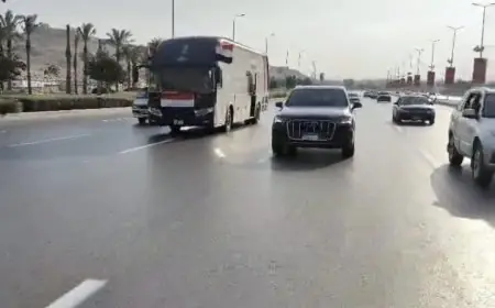 محافظة الجيزة تحتفل بافتتاح المتحف المصري الكبير بإطلاق حافلات تجوب الشوارع