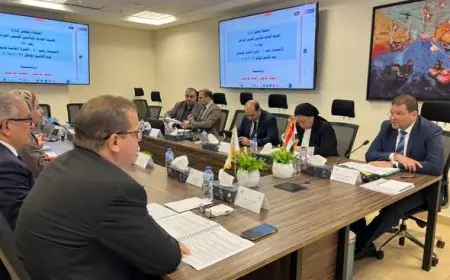 توسيع نظام التأمين الصحي ليشمل الأطفال والبالغين في صرف الحفاضات