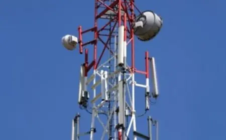 محافظ أسوان يأمر بتفعيل نظام تراخيص أبراج المحمول لتحسين الاتصال