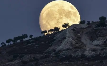 اكتشف موعد ظهور ظاهرة القمر العملاق المدهشة في سماء مصر ومتابعتها